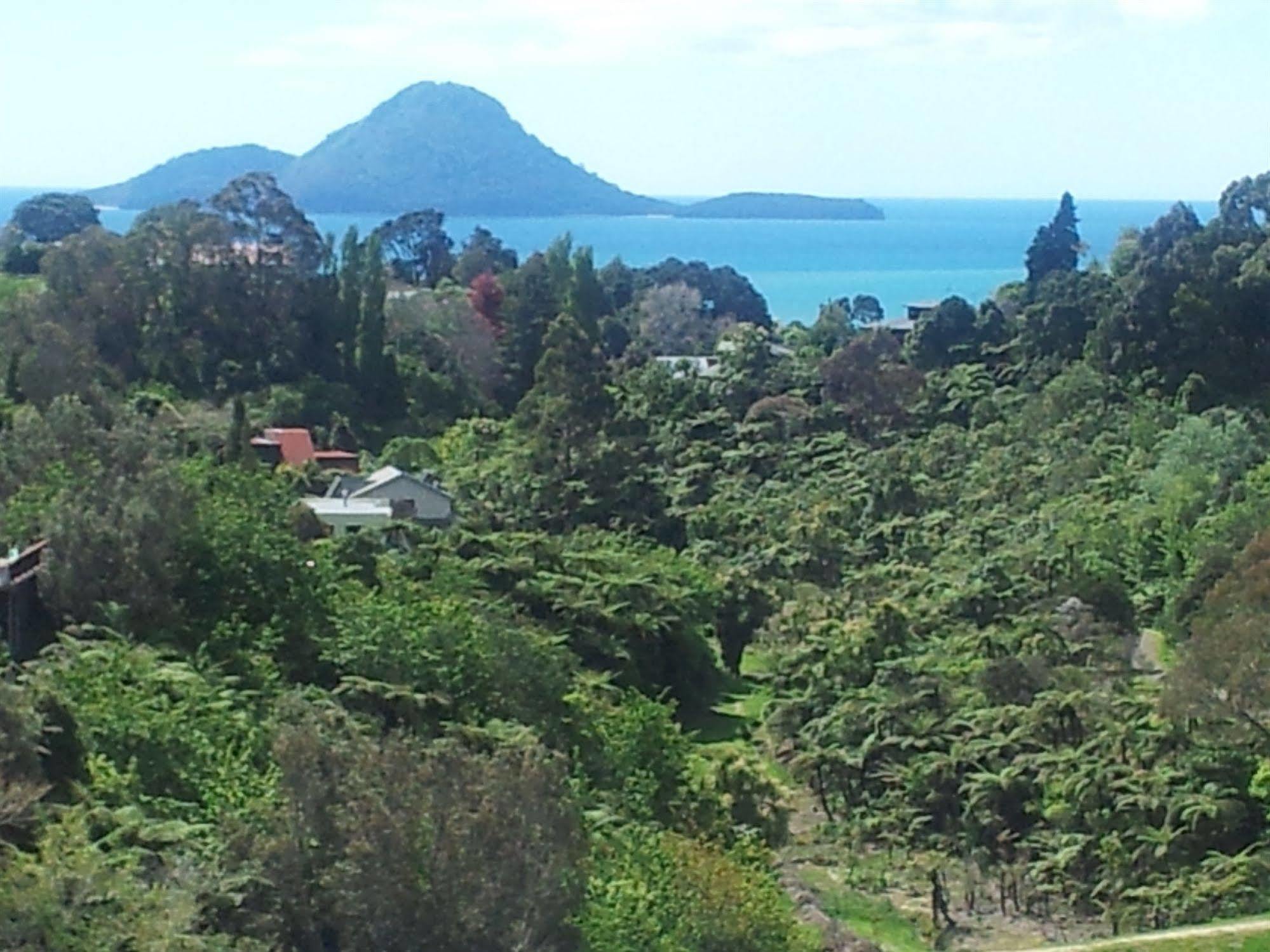 Crestwood Bed And Breakfast Whakatane Esterno foto